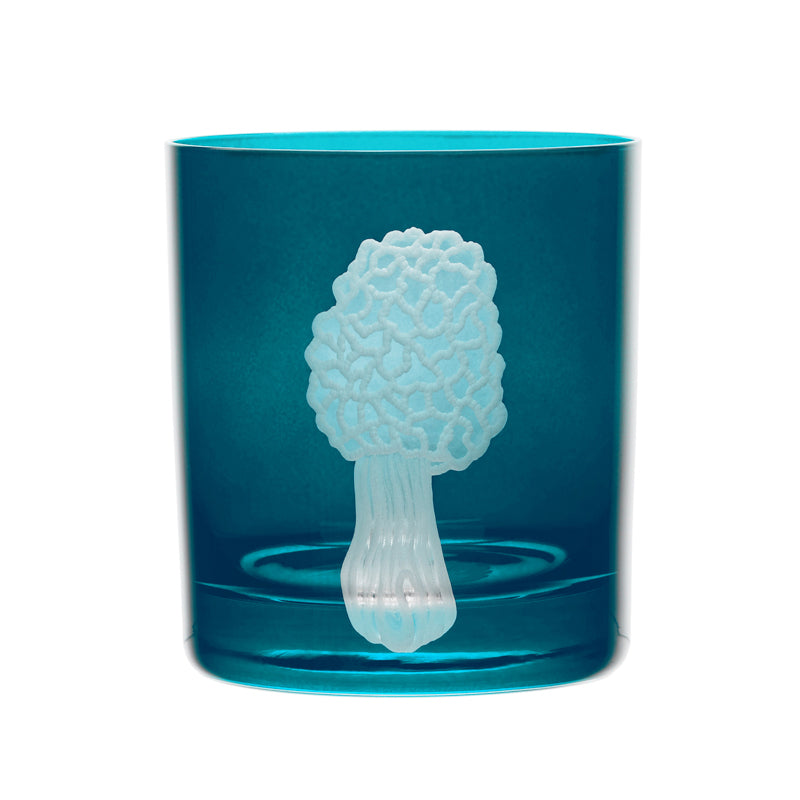 Mushrooms Morel