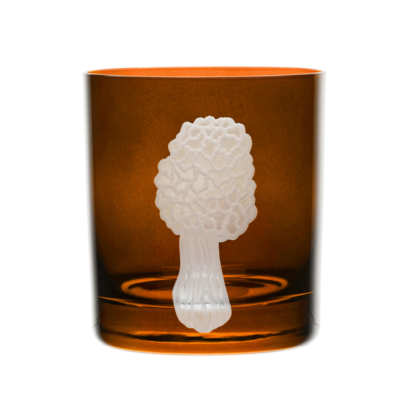Mushrooms Morel