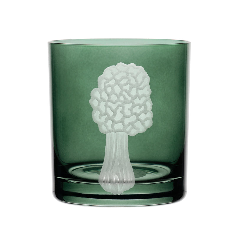 Mushrooms Morel