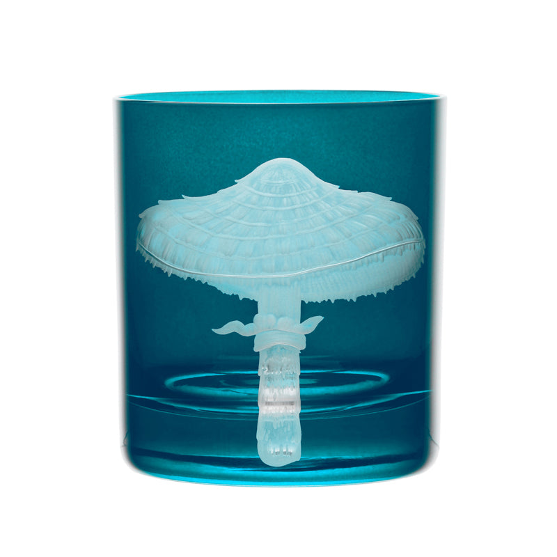 Mushrooms Parasol