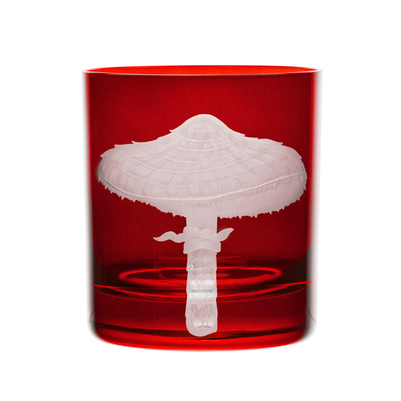 Mushrooms Parasol