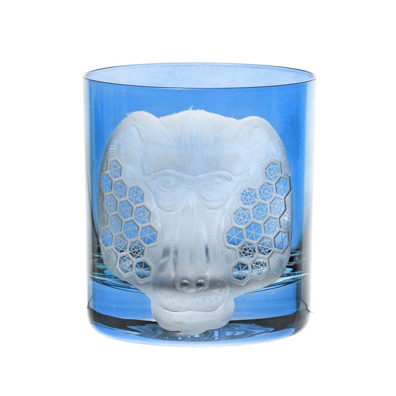 African Safari Baboon