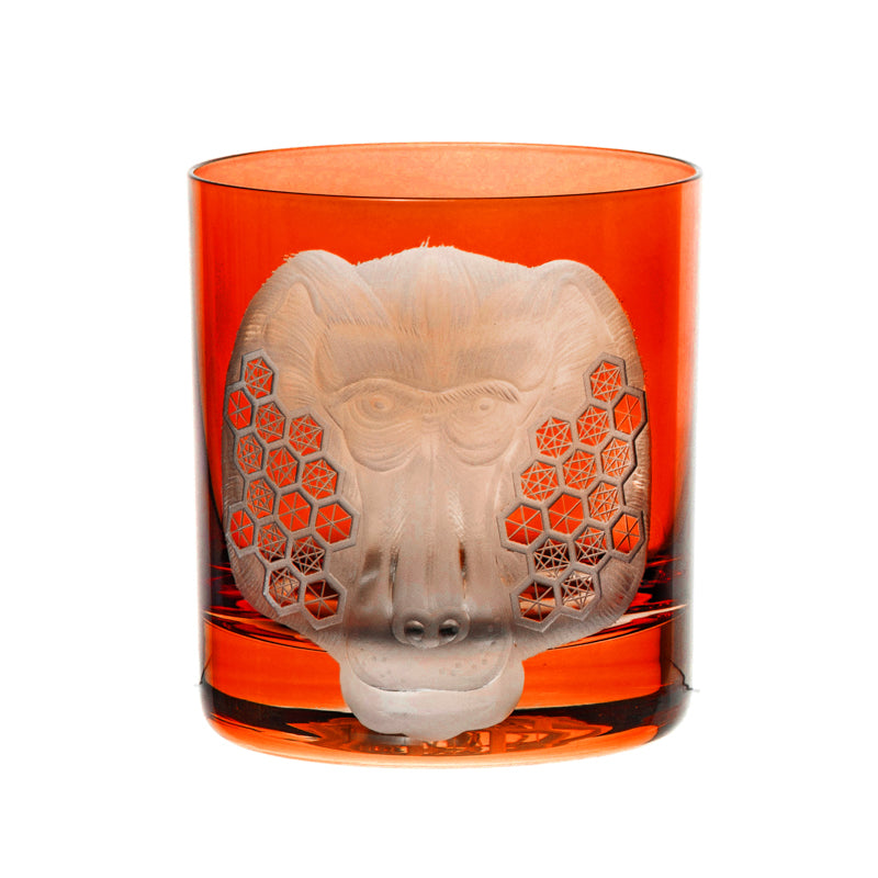 African Safari Baboon