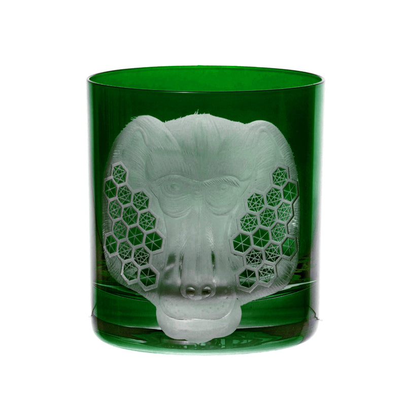 African Safari Baboon