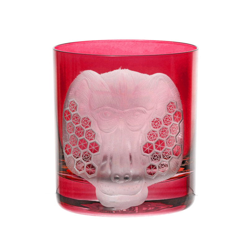 African Safari Baboon