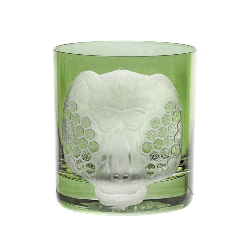 African Safari Baboon