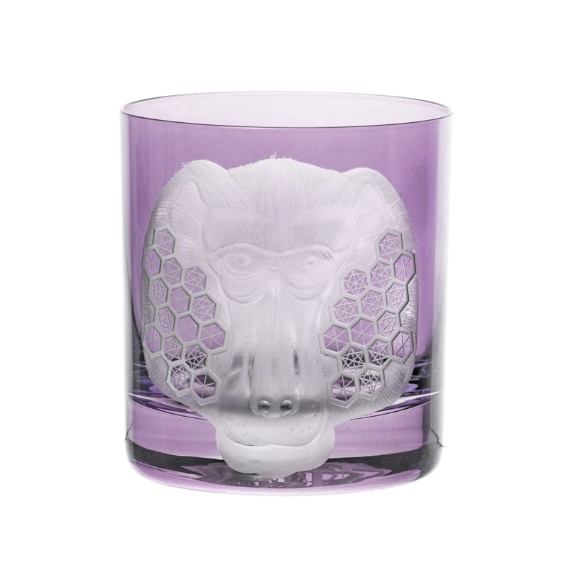 African Safari Baboon