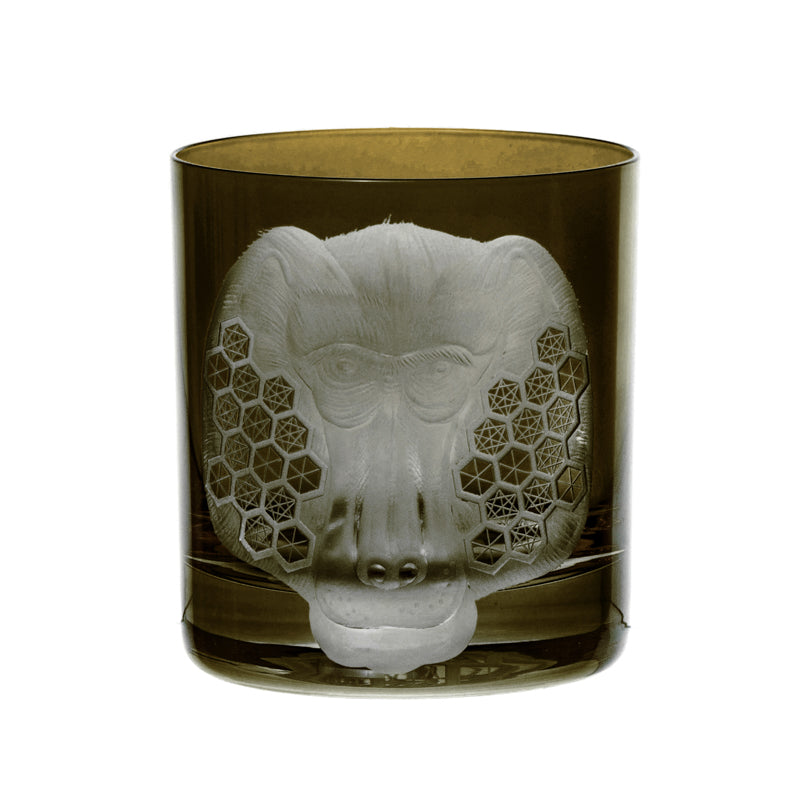 African Safari Baboon