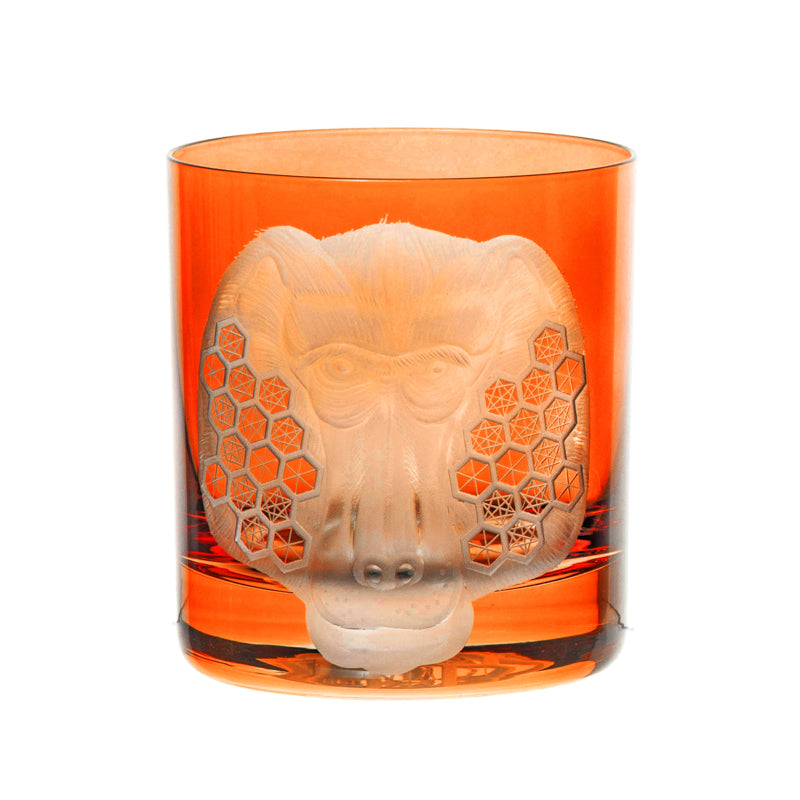 African Safari Baboon