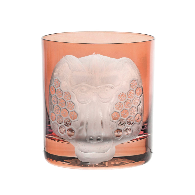 African Safari Baboon