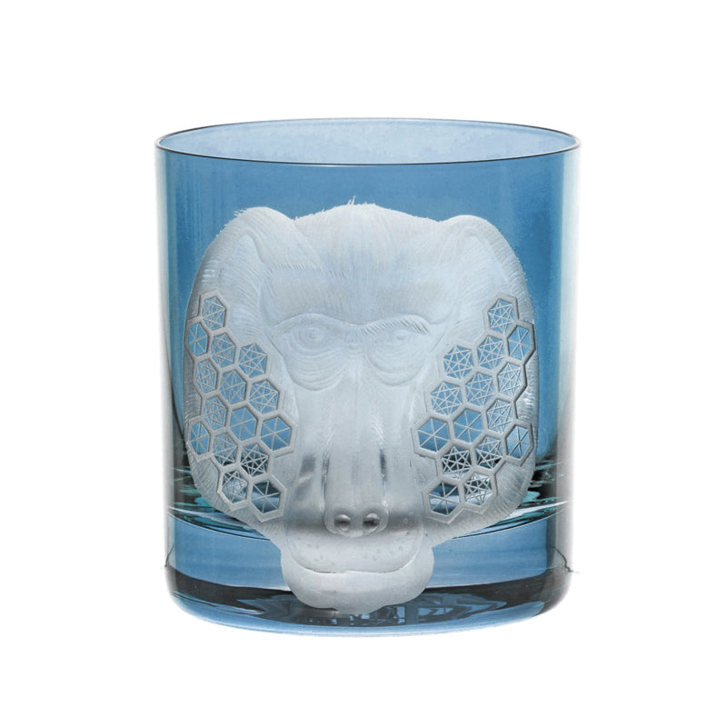 African Safari Baboon