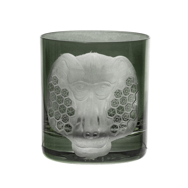 African Safari Baboon