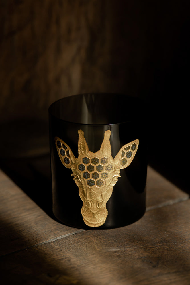 African Safari Giraffe