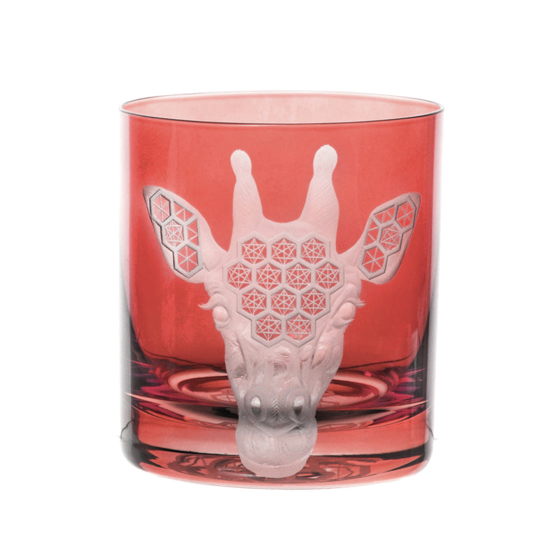 African Safari Giraffe