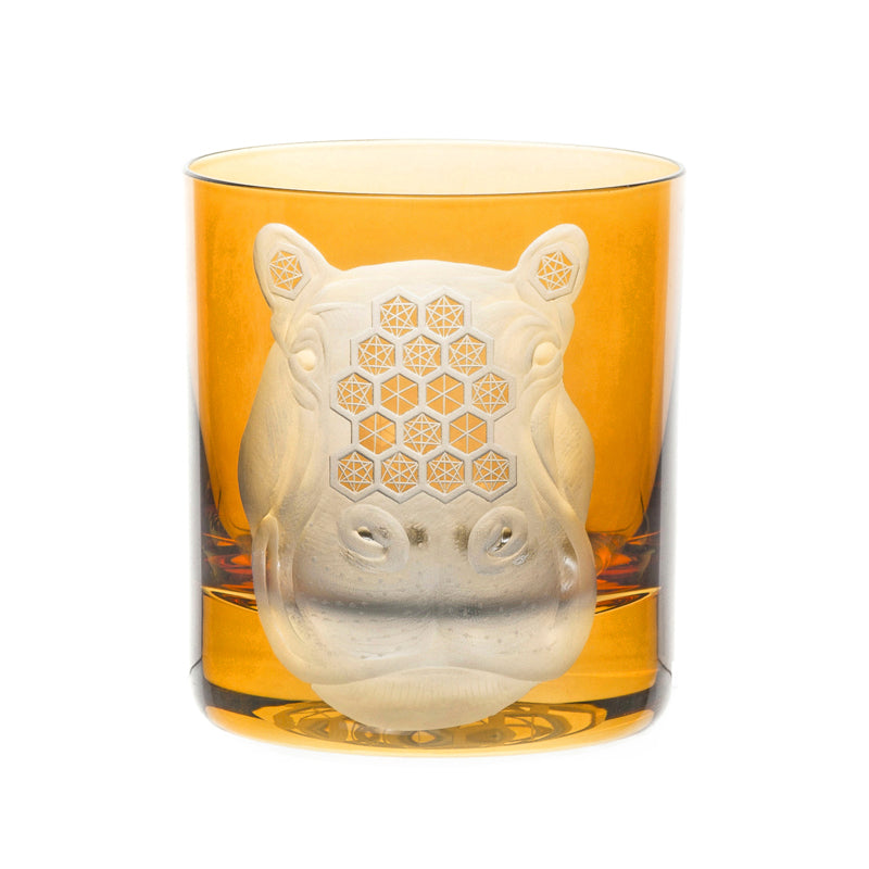 African Safari Hippopotamus