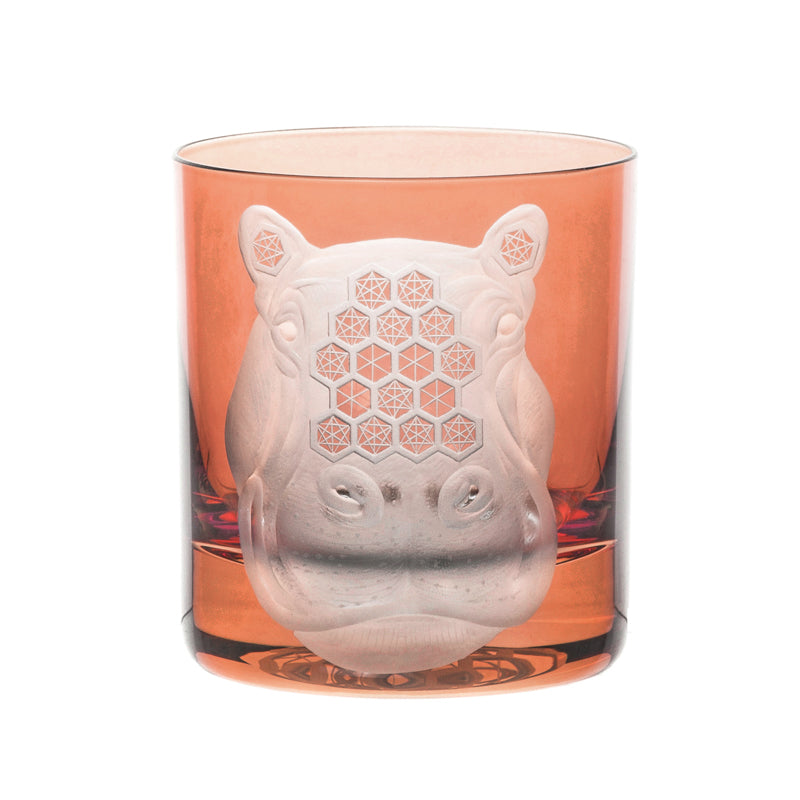 African Safari Hippopotamus