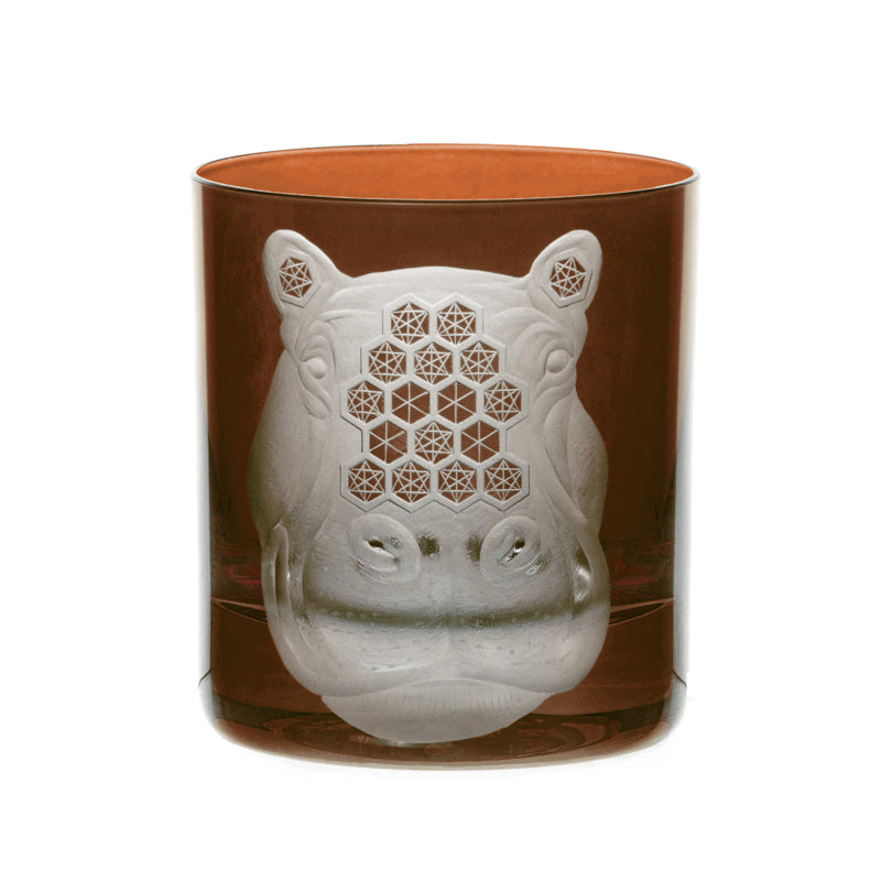 African Safari Hippopotamus