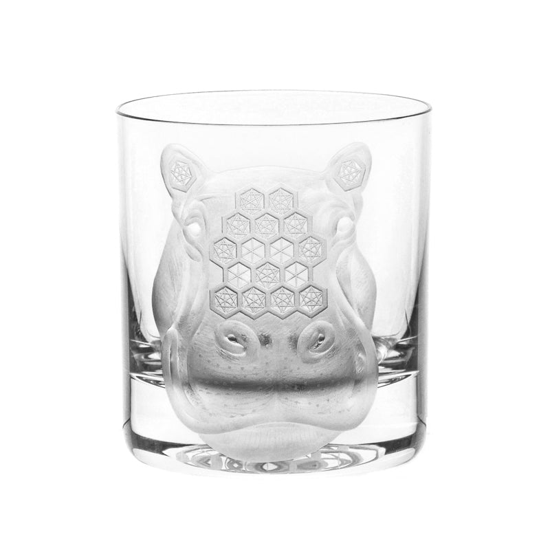 African Safari Hippopotamus