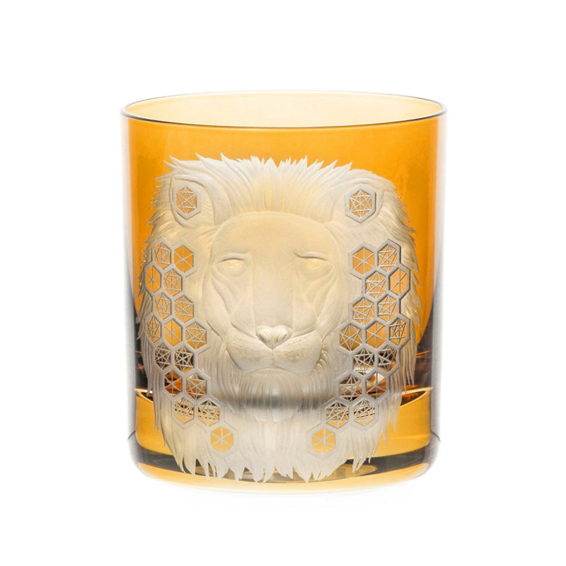 African Safari Lion
