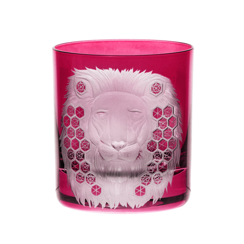 African Safari Lion