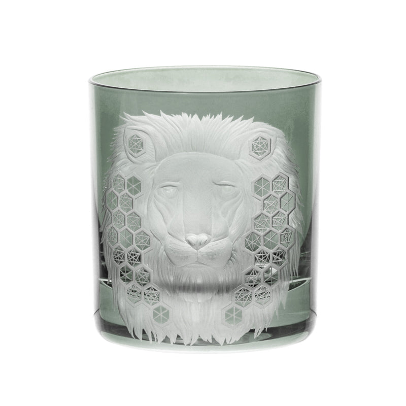 African Safari Lion
