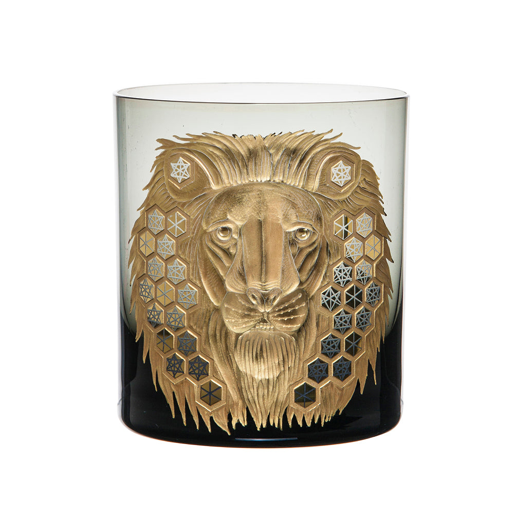 African Safari Lion