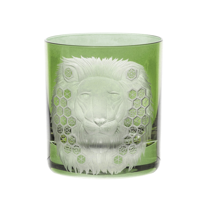 African Safari Lion