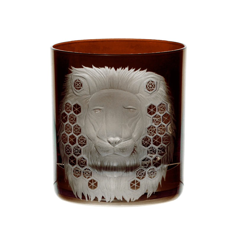 African Safari Lion