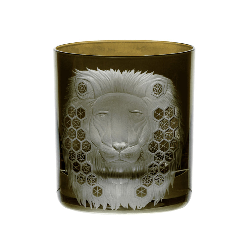 African Safari Lion