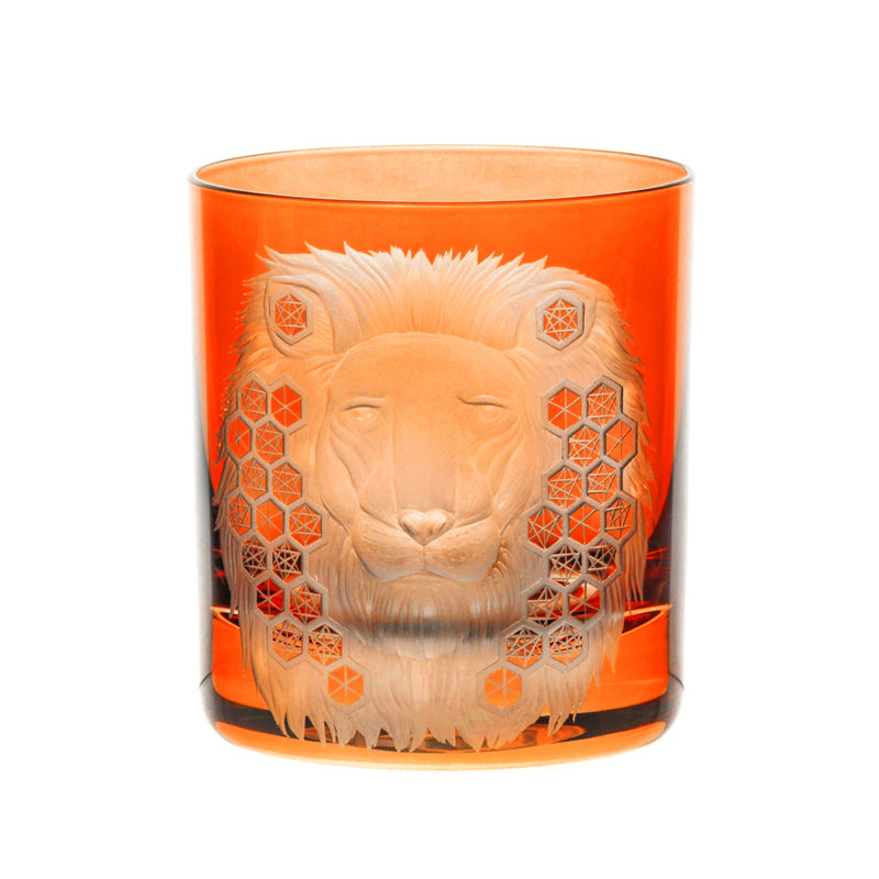 African Safari Lion