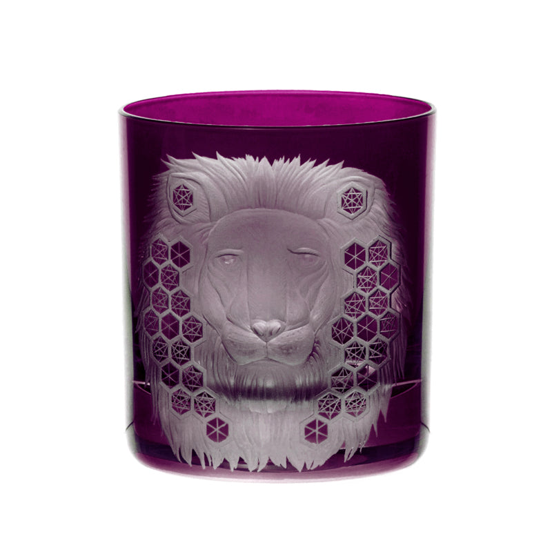 African Safari Lion