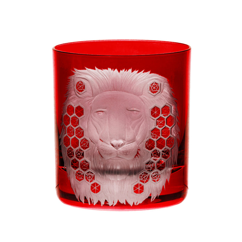 African Safari Lion