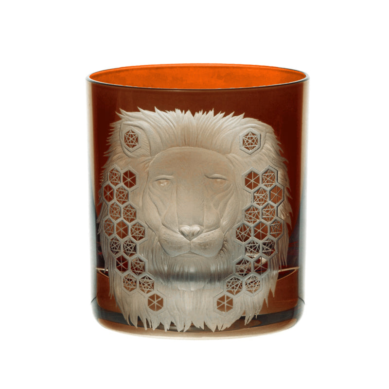 African Safari Lion