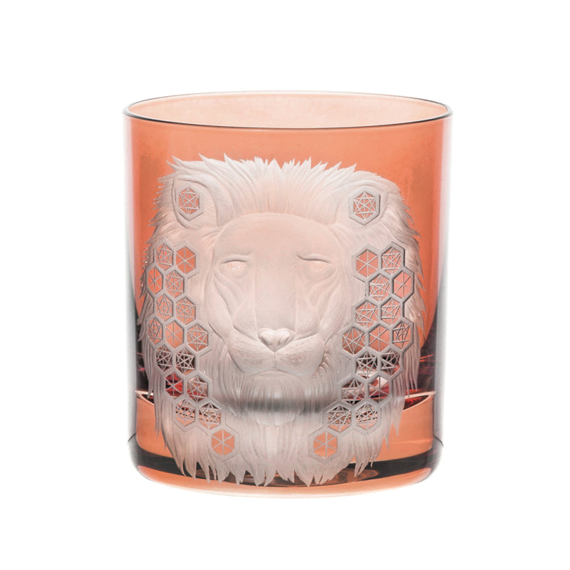African Safari Lion