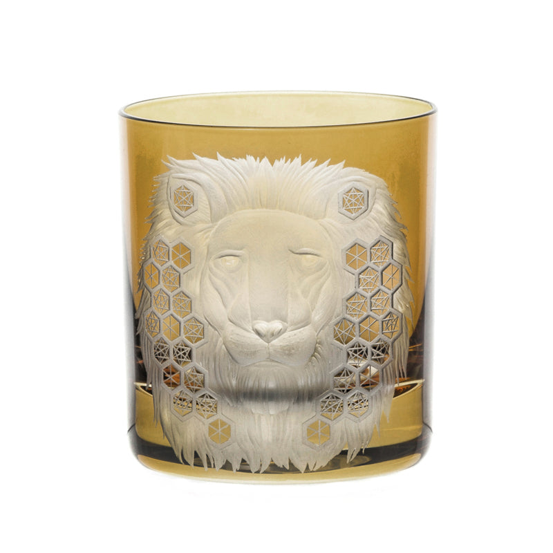 African Safari Lion