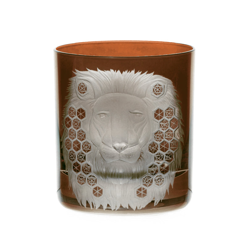 African Safari Lion
