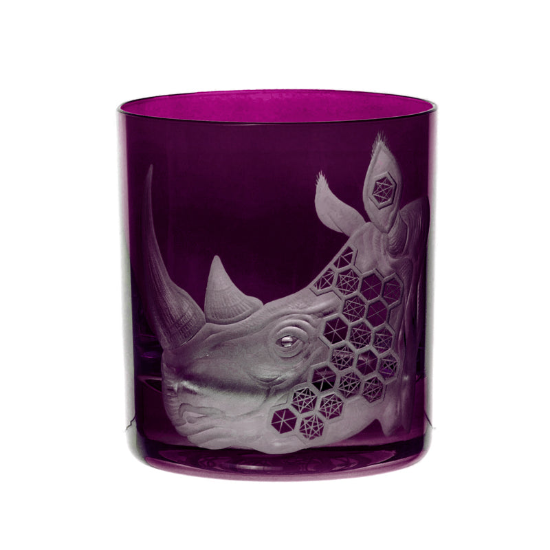 African Safari Rhinoceros