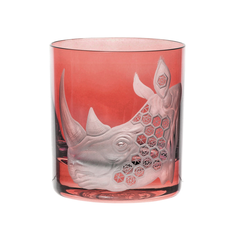 African Safari Rhinoceros