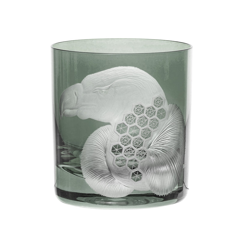 African Safari Vulture