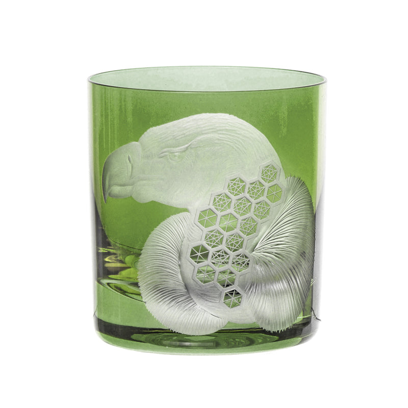 African Safari Vulture