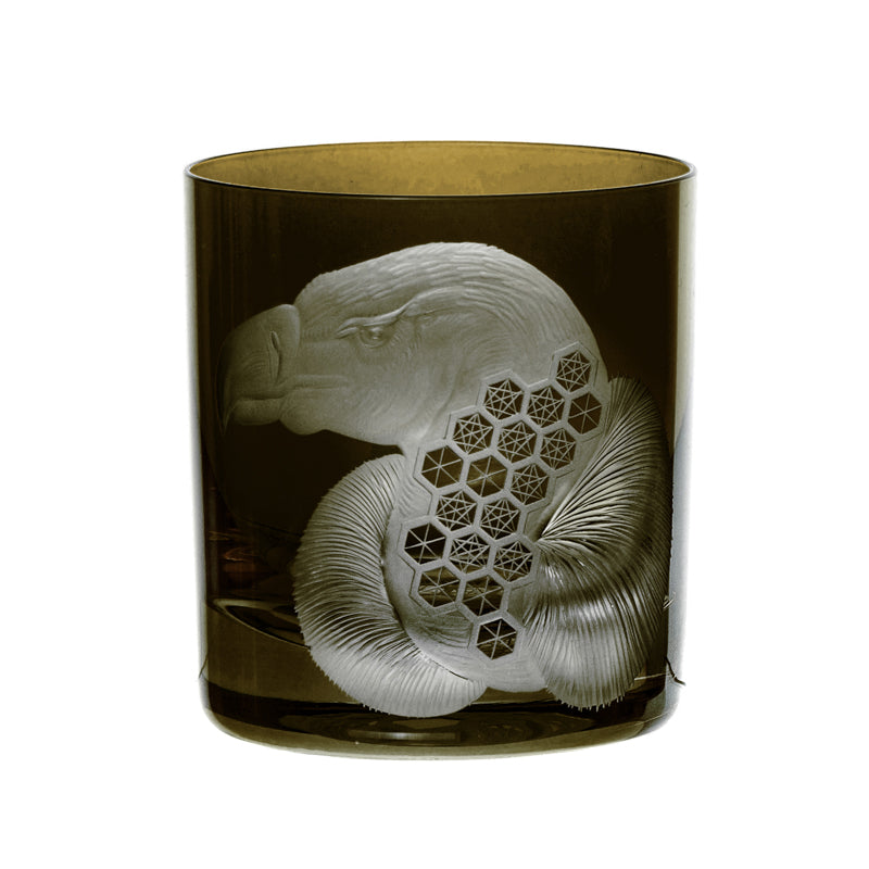 African Safari Vulture