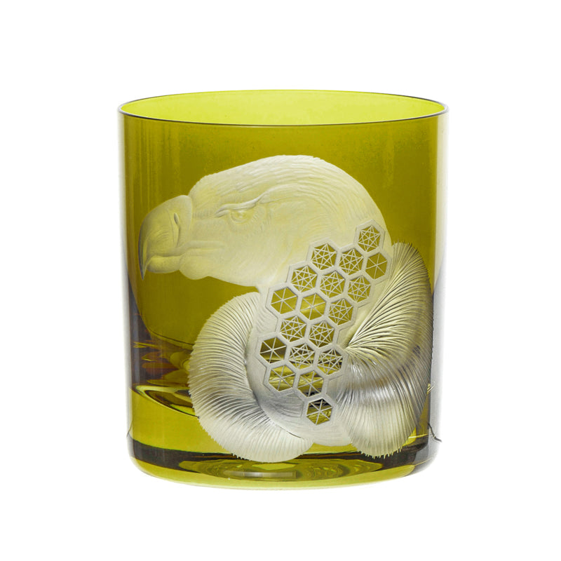 African Safari Vulture