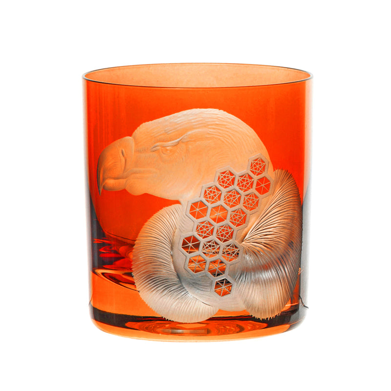 African Safari Vulture