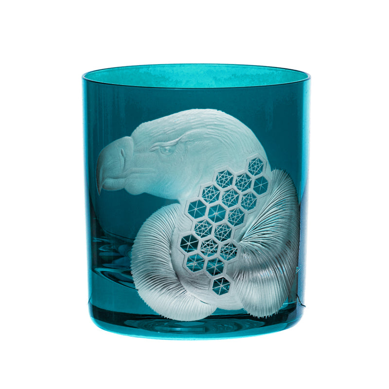 African Safari Vulture