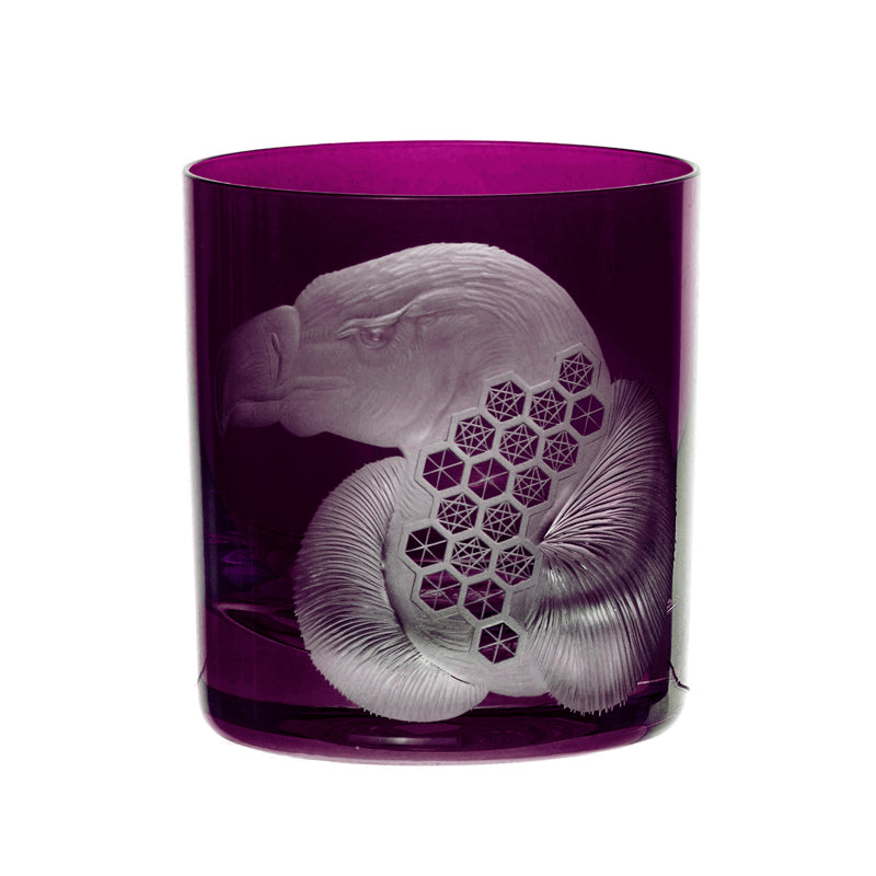 African Safari Vulture