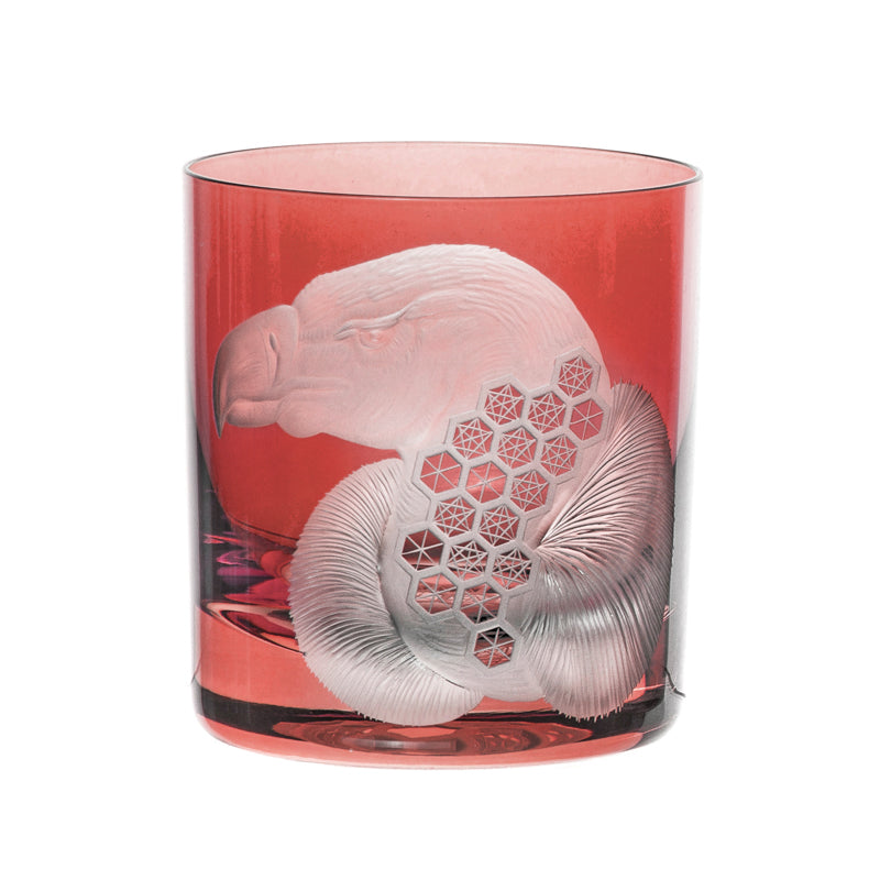 African Safari Vulture