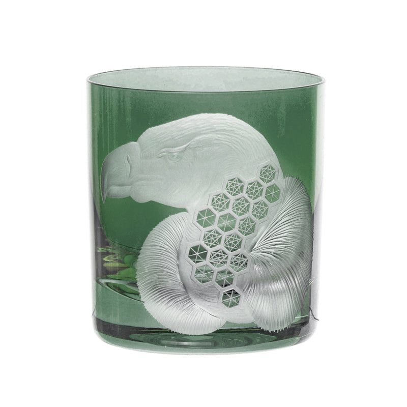 African Safari Vulture