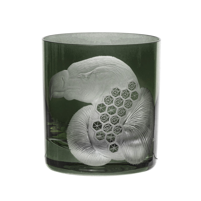 African Safari Vulture