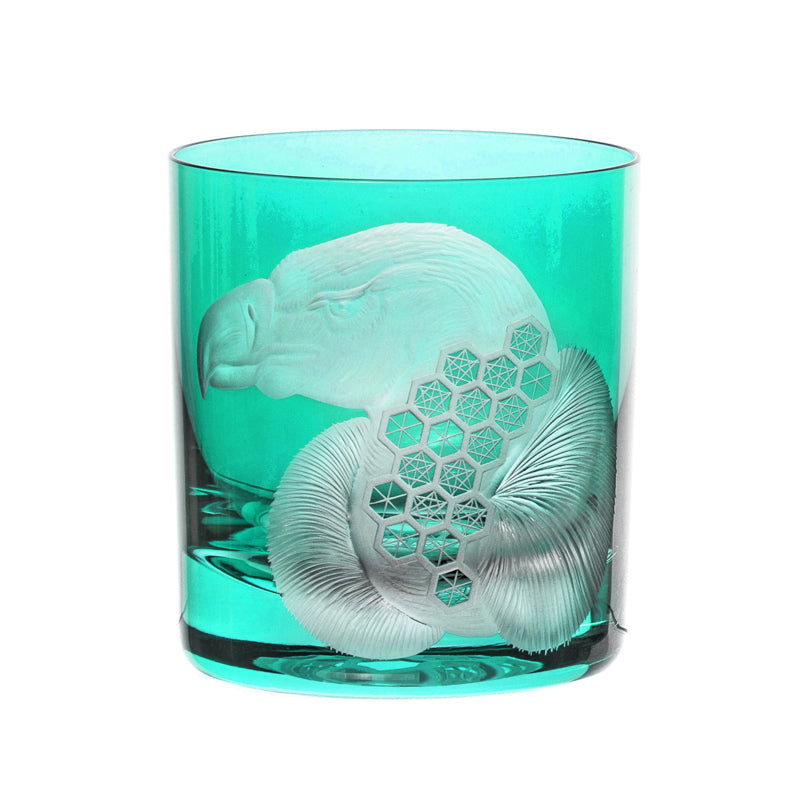 African Safari Vulture