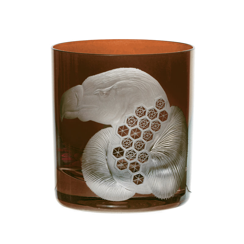 African Safari Vulture